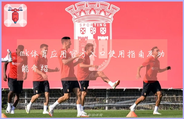 mk体育应用官方入口使用指南及功能介绍