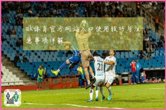 mk体育官方网站入口使用技巧与注意事项详解