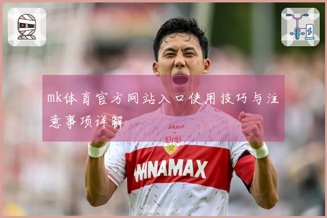 mk体育官方网站入口使用技巧与注意事项详解