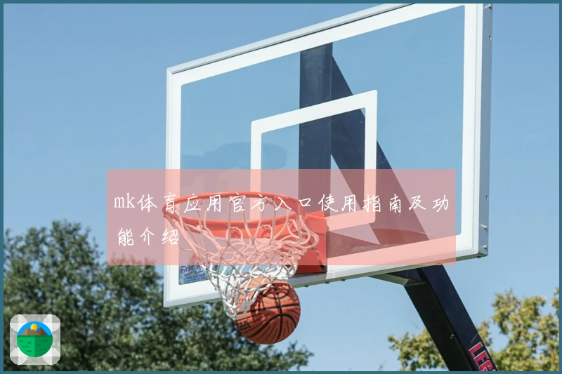 mk体育应用官方入口使用指南及功能介绍
